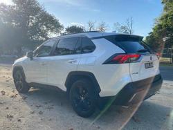 2019 Toyota RAV4 Cruiser