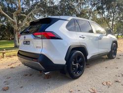 2019 Toyota RAV4 Cruiser
