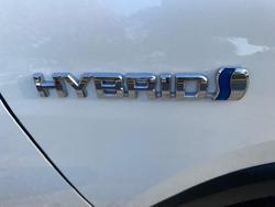 2019 Toyota RAV4 Cruiser