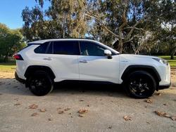 2019 Toyota RAV4 Cruiser