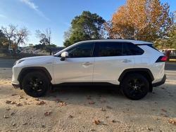 2019 Toyota RAV4 Cruiser