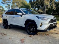 2019 Toyota RAV4 Cruiser