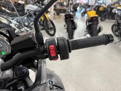 2026 Triumph TIGER SPORT 660 LAMS SILVER ICE