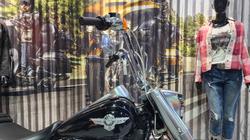 2019 HARLEY-DAVIDSON FLFBS FAT BOY S (114)