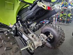 2025 Yamaha YFM700R RAPTOR 700 SE GREEN