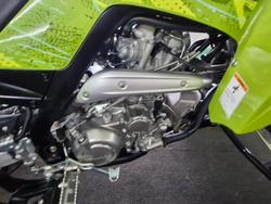 2025 Yamaha YFM700R RAPTOR 700 SE GREEN