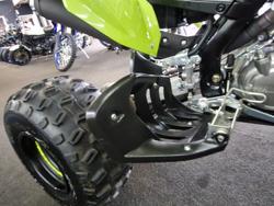 2025 Yamaha YFM700R RAPTOR 700 SE GREEN