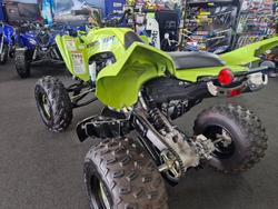 2025 Yamaha YFM700R RAPTOR 700 SE GREEN
