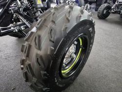 2025 Yamaha YFM700R RAPTOR 700 SE GREEN