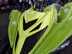 2025 Yamaha YFM700R RAPTOR 700 SE GREEN