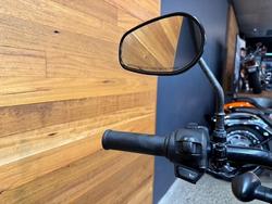2018 HARLEY-DAVIDSON XG500 STREET 500 (SOLID)