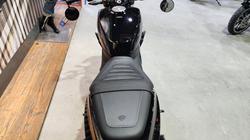 2024 HARLEY-DAVIDSON HD350-10 H-DX X350