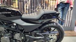 2024 HARLEY-DAVIDSON HD350-10 H-DX X350