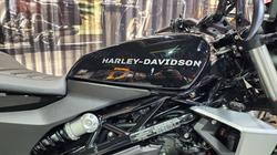 2024 HARLEY-DAVIDSON HD350-10 H-DX X350