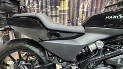 2024 HARLEY-DAVIDSON HD350-10 H-DX X350