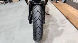 2024 HARLEY-DAVIDSON HD350-10 H-DX X350