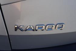 2021 SKODA Karoq 110TSI