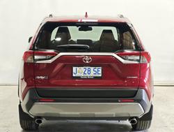 2021 Toyota RAV4 Cruiser