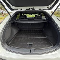 2025 Lexus RX 350h Luxury
