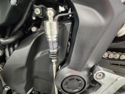 2025 Triumph Tiger Sport 800 Tiger Yellow