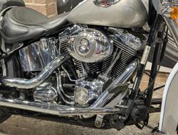 2009 Harley-Davidson Softail Deluxe 1584 (FLSTN) Softail Gold
