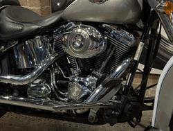 2009 Harley-Davidson Softail Deluxe 1584 (FLSTN) Softail Gold