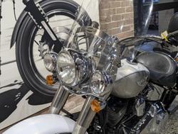 2009 Harley-Davidson Softail Deluxe 1584 (FLSTN) Softail Gold