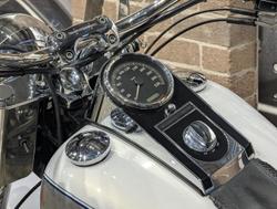 2009 Harley-Davidson Softail Deluxe 1584 (FLSTN) Softail Gold
