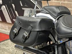 2009 Harley-Davidson Softail Deluxe 1584 (FLSTN) Softail Gold