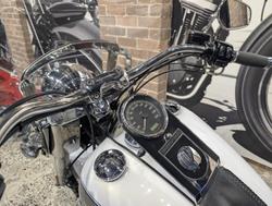 2009 Harley-Davidson Softail Deluxe 1584 (FLSTN) Softail Gold