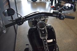 2025 HARLEY-DAVIDSON FLFB FAT BOY (117)
