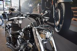 2025 HARLEY-DAVIDSON FLFB FAT BOY (117)