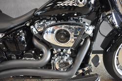 2025 HARLEY-DAVIDSON FLFB FAT BOY (117)