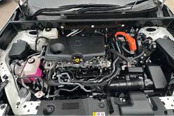 2022 Toyota RAV4 Cruiser