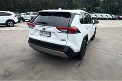2022 Toyota RAV4 Cruiser