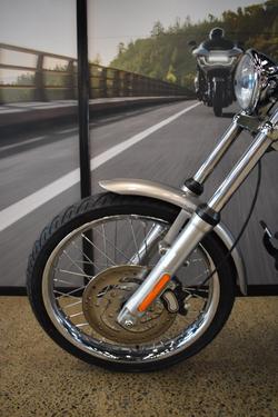2008 HARLEY-DAVIDSON FXST SOFTAIL STANDARD