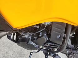 2020 Kawasaki KLR650 (KL650) ORANGE