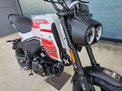 2025 CFMOTO XO PAPIO TRAIL White