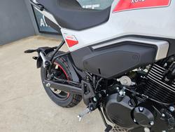 2025 CFMOTO XO PAPIO TRAIL White