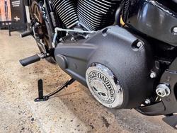 2022 HARLEY-DAVIDSON FXLRS LOW RIDER S (114)