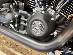 2022 HARLEY-DAVIDSON FXLRS LOW RIDER S (114)