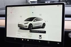 2022 Tesla Model 3 Rear-Wheel Drive