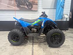 CFMOTO C Force 110 SE