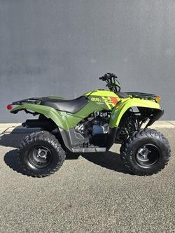 Yamaha Grizzly 110 (YFM110G)