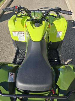 2025 Yamaha Grizzly 110 (YFM110G) Grizzly Green
