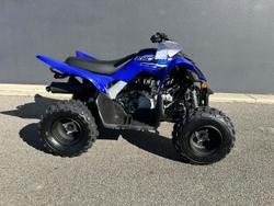 Yamaha Raptor 110 (YFM110R)