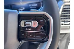2025 LDV Terron 9 Origin EKK1C AWD Blanc White (1D)