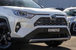 2019 Toyota RAV4 Cruiser