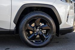 2019 Toyota RAV4 Cruiser