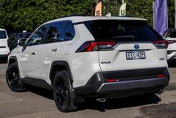 2019 Toyota RAV4 Cruiser
